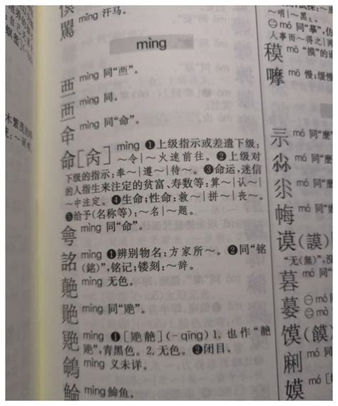 命 同音字|“命”只有一条，所以命是没有同音字的？真的是这样吗？